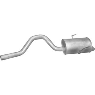 Galinis duslintuvas POLMO 21.491