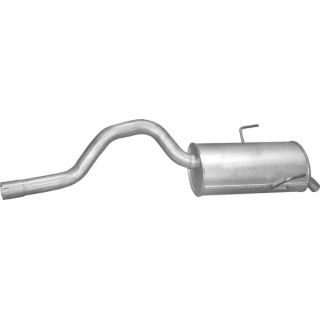 Galinis duslintuvas POLMO 21.555