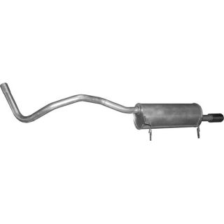 Galinis duslintuvas POLMO 21.65