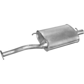 Galinis duslintuvas POLMO 22.106