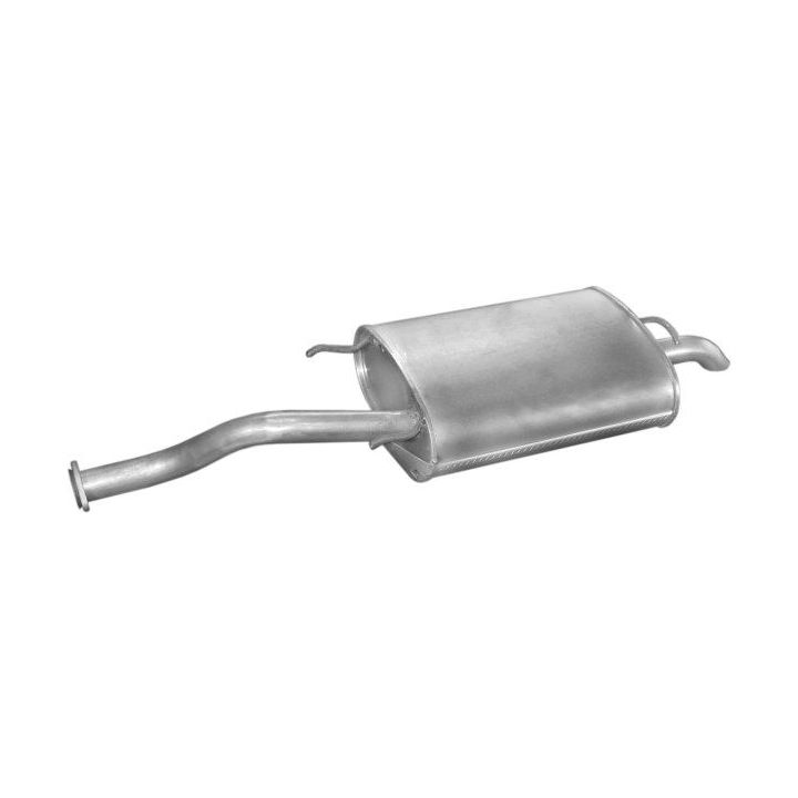 Galinis duslintuvas POLMO 22.21