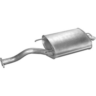 Galinis duslintuvas POLMO 22.62