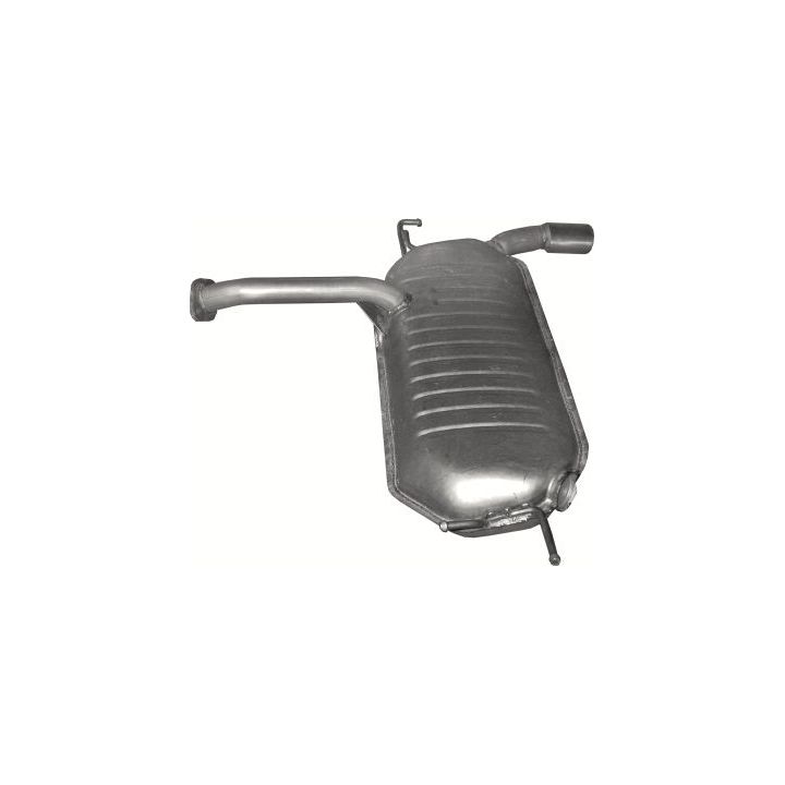 Galinis duslintuvas POLMO 47.37