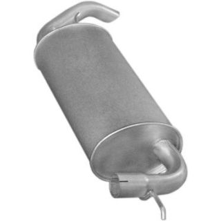 Galinis duslintuvas POLMO 53.01