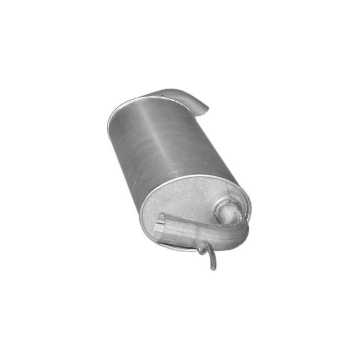 Galinis duslintuvas POLMO 53.03