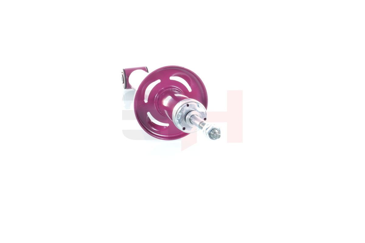 Amortizatorius GH GH+302372
