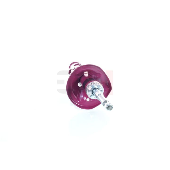 Amortizatorius GH GH+323490V