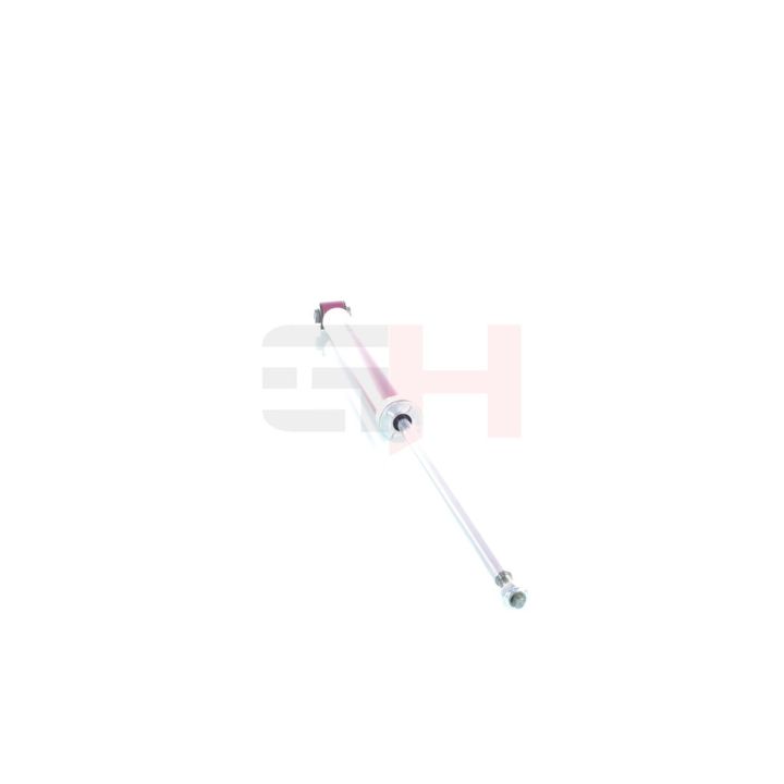 Amortizatorius GH GH+332369
