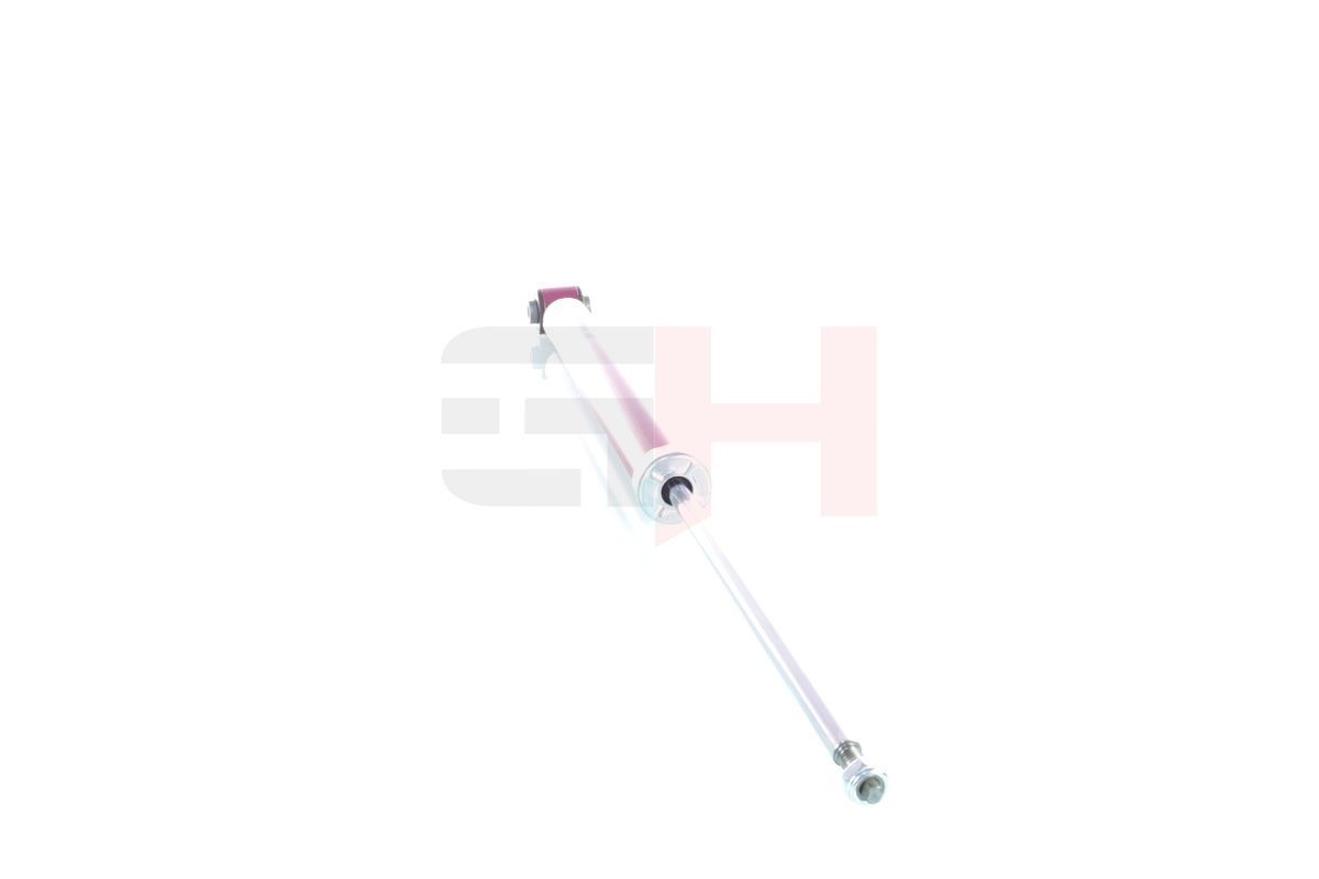 Amortizatorius GH GH+332369