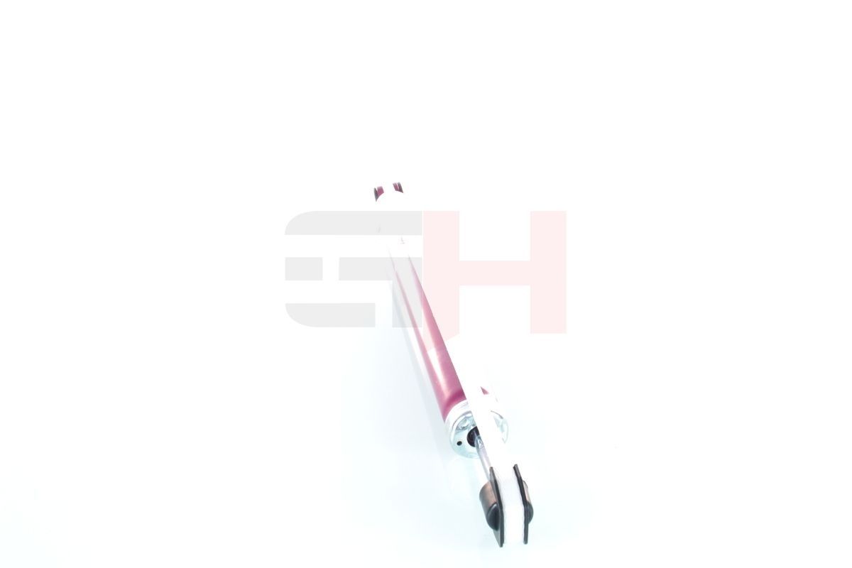 Amortizatorius GH GH+332550