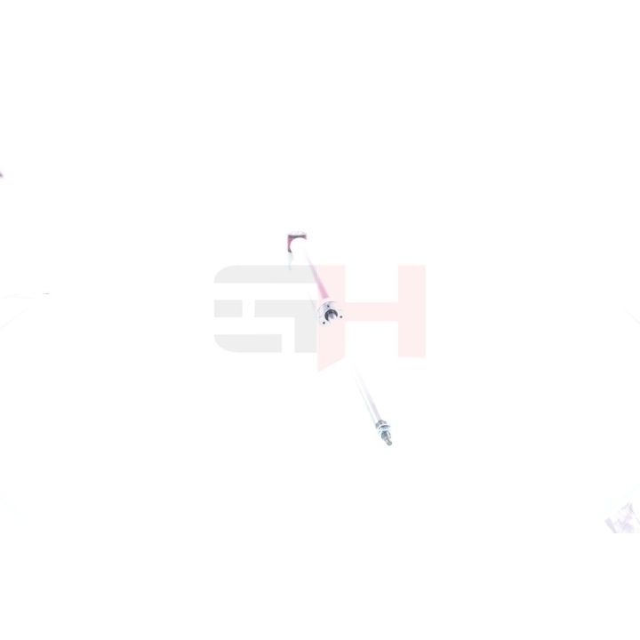 Amortizatorius GH GH+332563