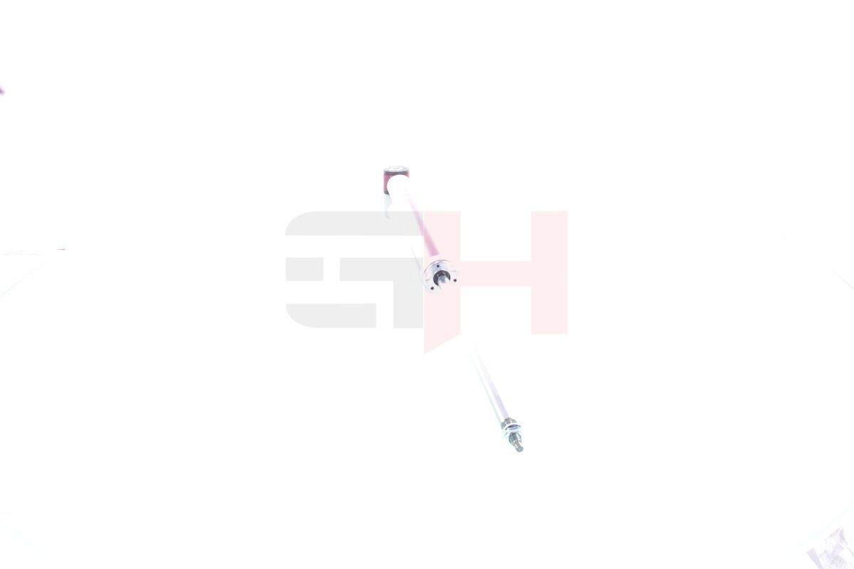 Amortizatorius GH GH+332563