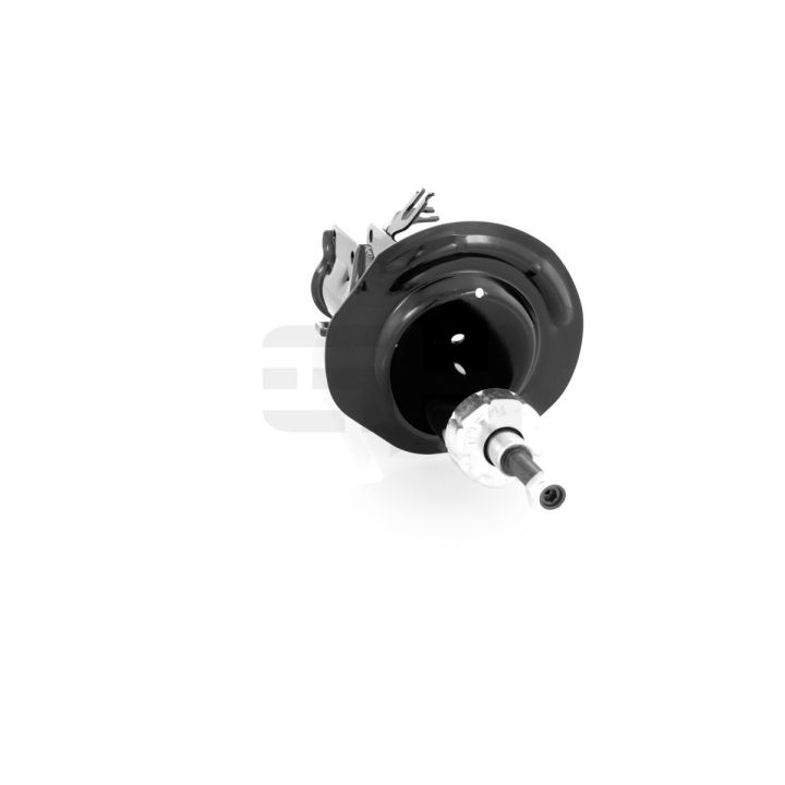 Amortizatorius GH GH-322344H