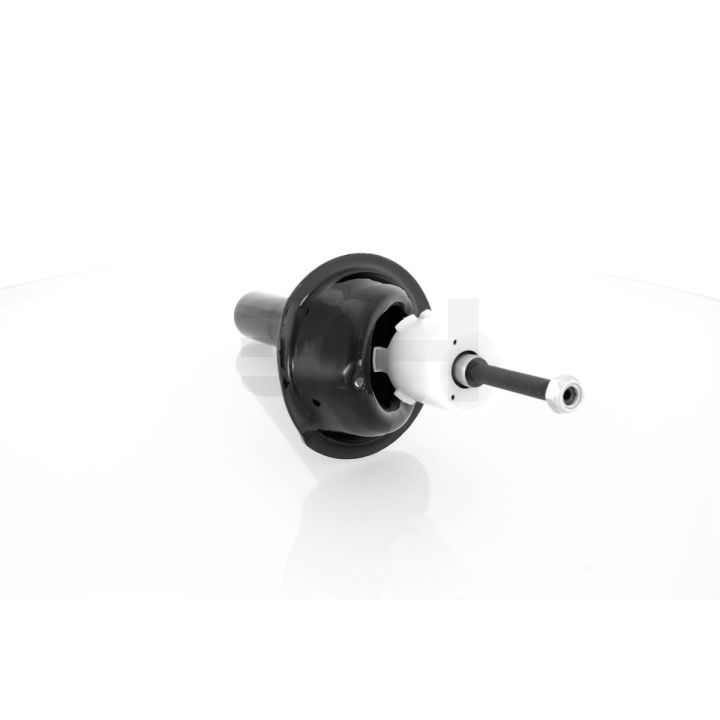 Amortizatorius GH GH-322570