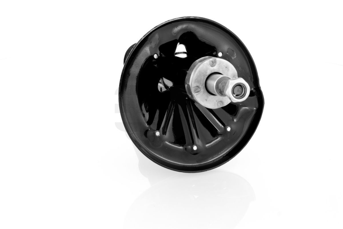 Amortizatorius GH GH-323212H