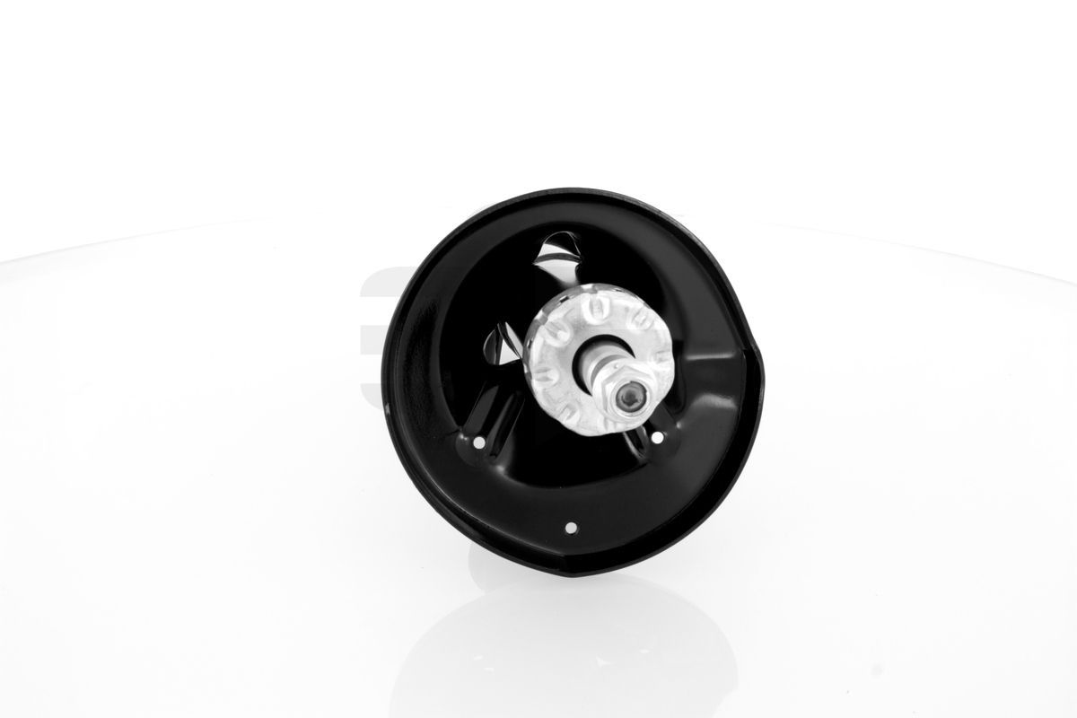 Amortizatorius GH GH-323279H