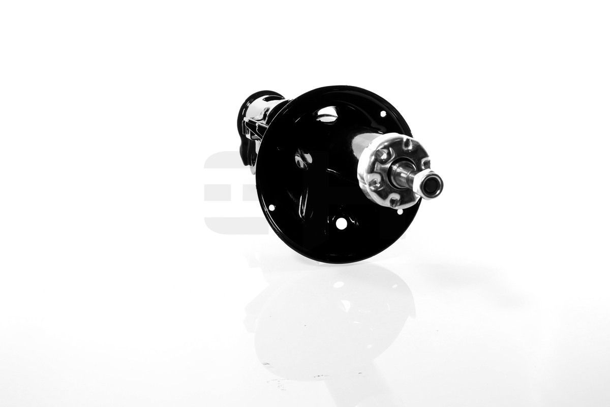 Amortizatorius GH GH-323477V