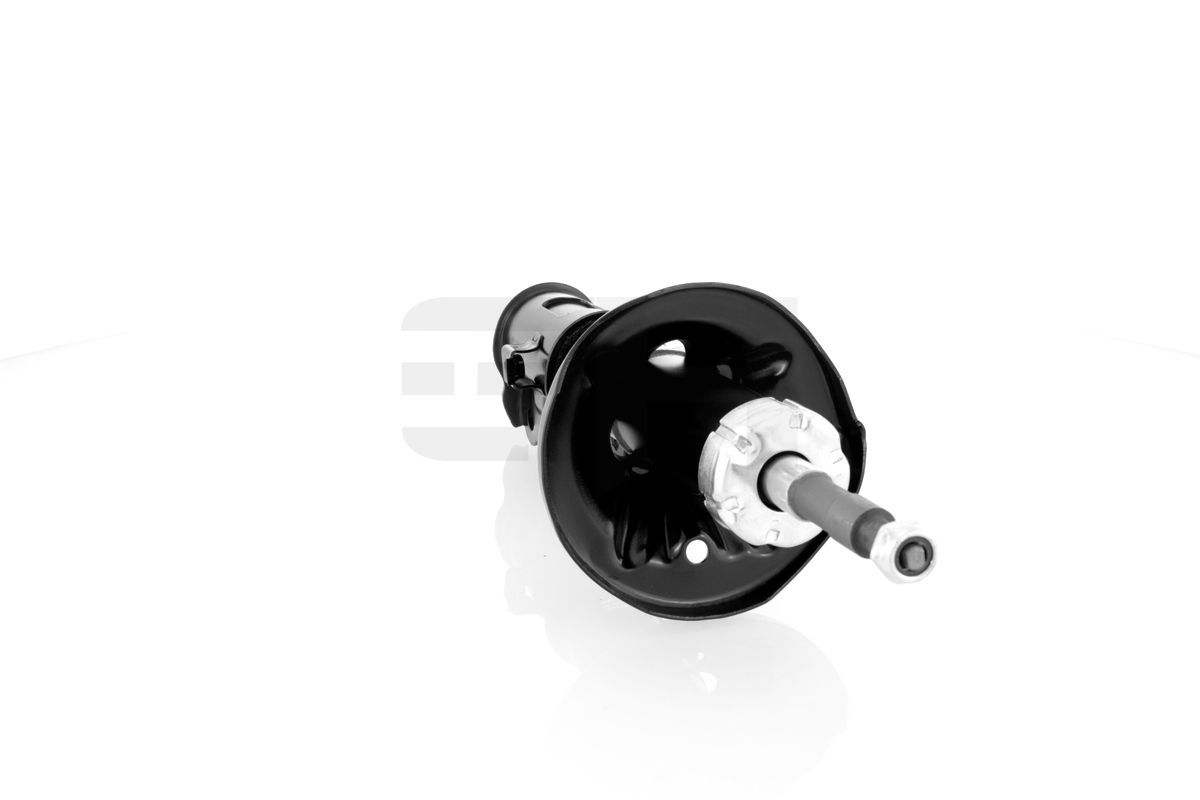 Amortizatorius GH GH-323489V