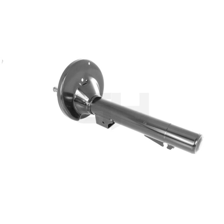 Amortizatorius GH GH-323913