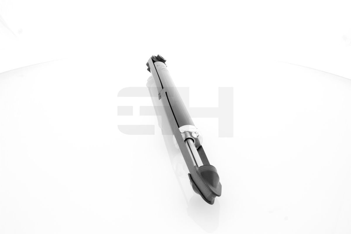 Amortizatorius GH GH-332562