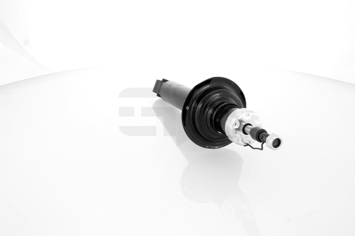 Amortizatorius GH GH-336319