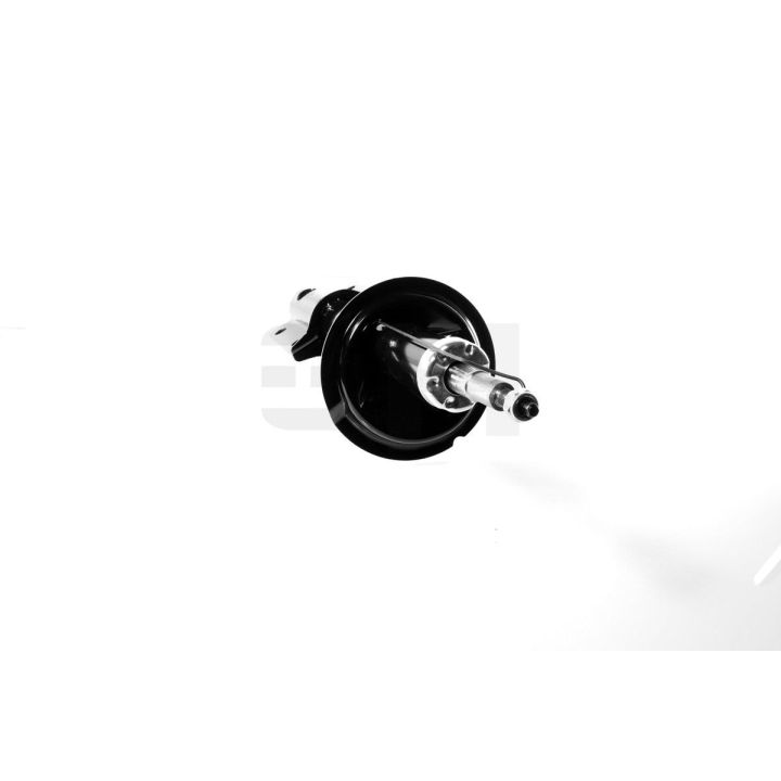 Amortizatorius GH GH-351959