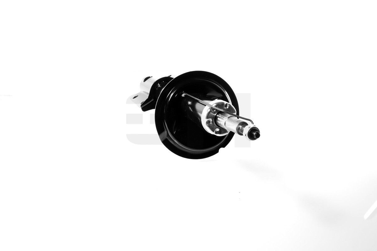 Amortizatorius GH GH-351959