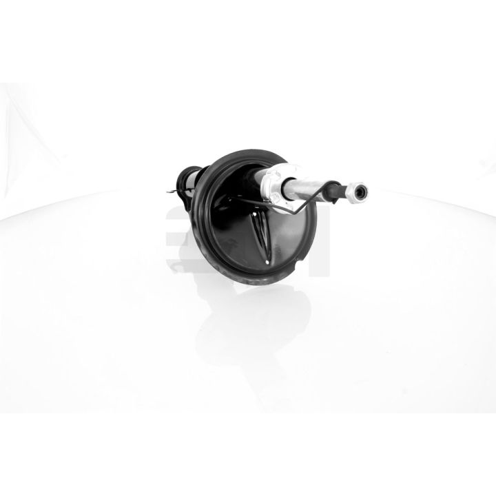 Amortizatorius GH GH-352352