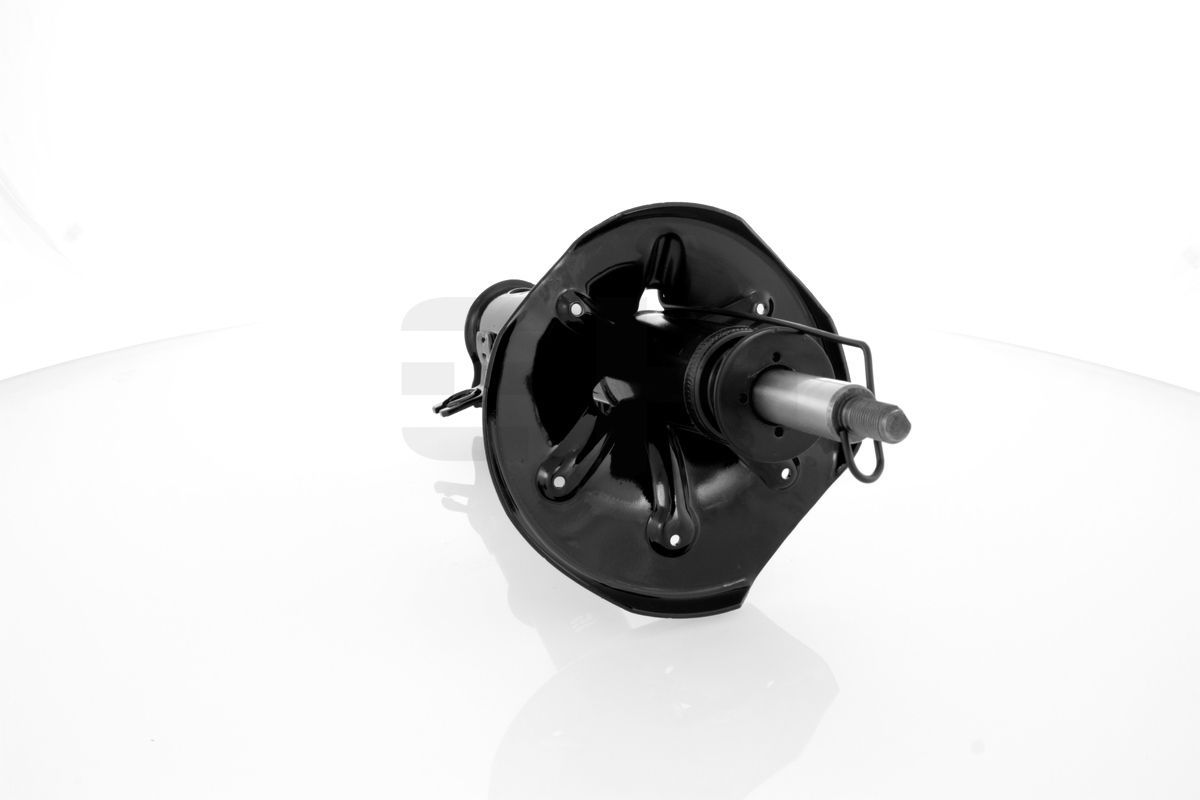 Amortizatorius GH GH-353285V