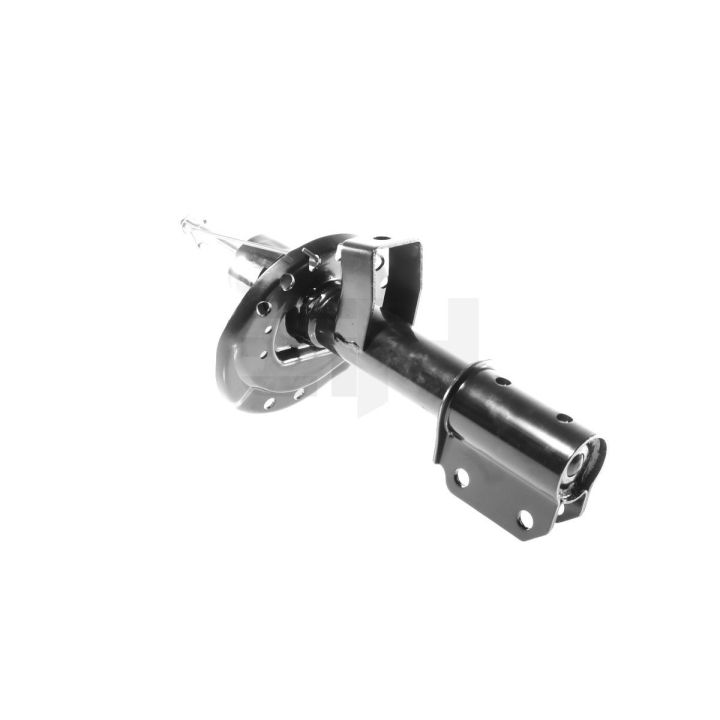 Amortizatorius GH GH-353947