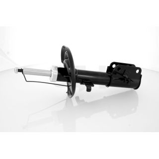 Amortizatorius GH GH-353968