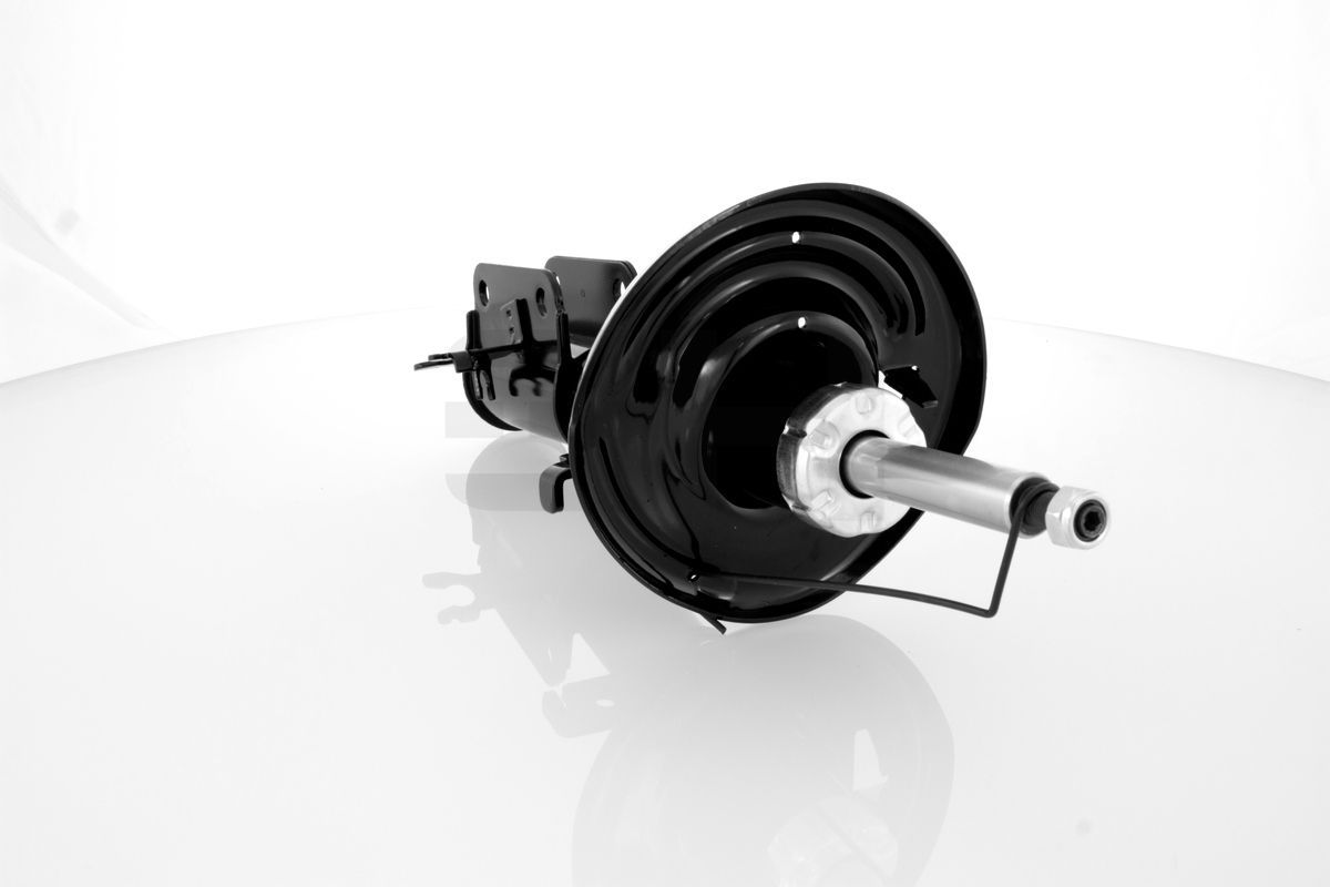 Amortizatorius GH GH-353968