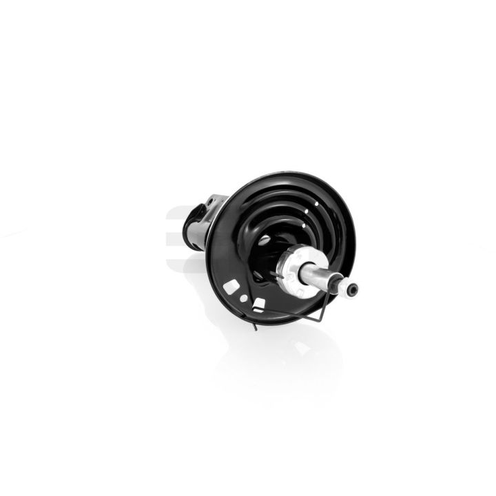 Amortizatorius GH GH-353971