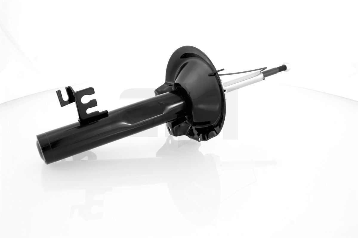 Amortizatorius GH GH-354075H