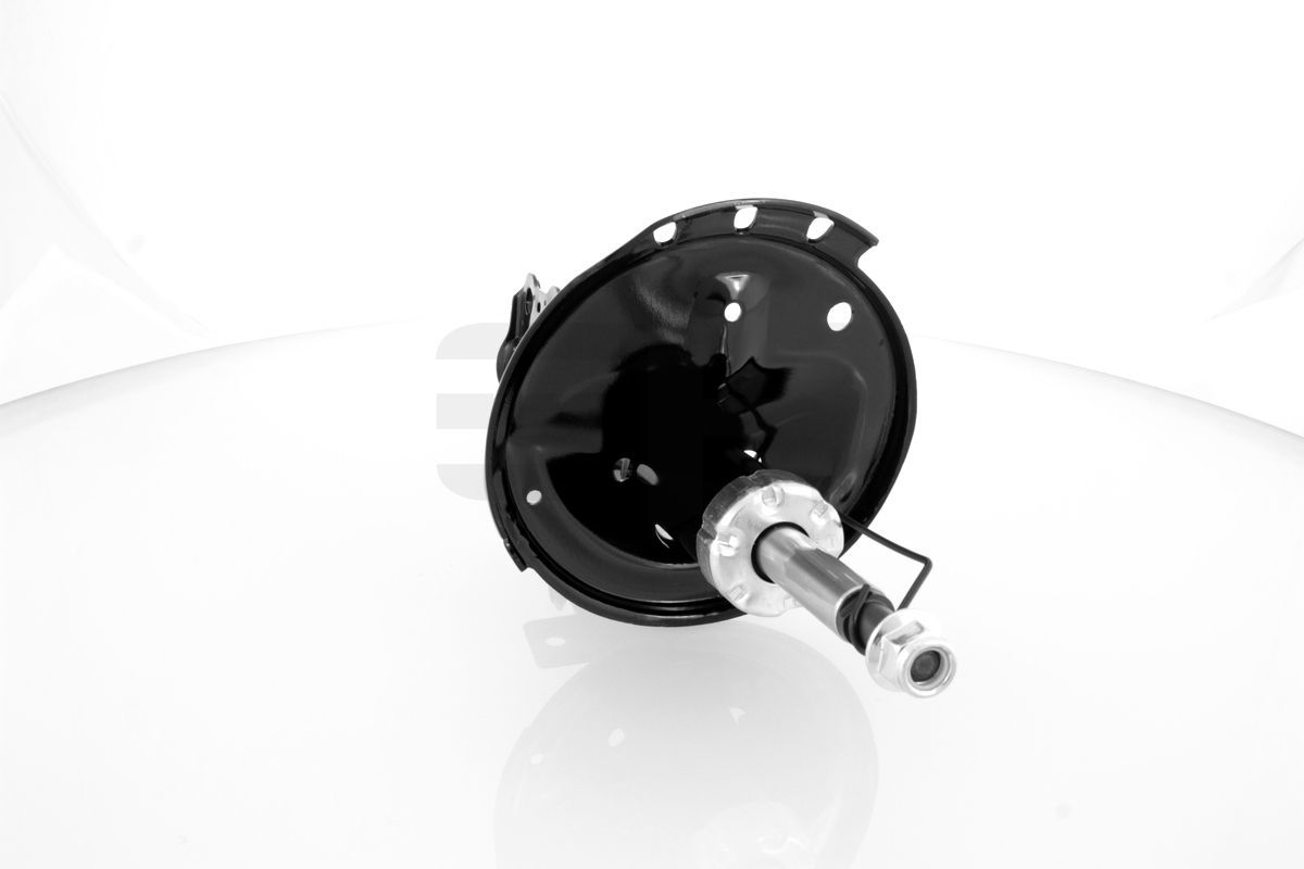 Amortizatorius GH GH-356300V