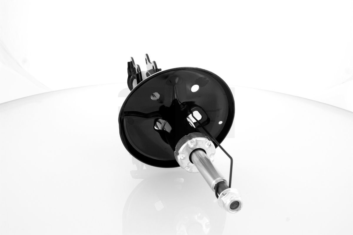 Amortizatorius GH GH-356303V