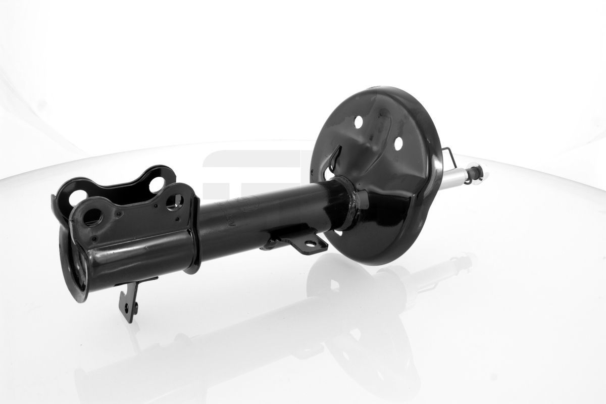 Amortizatorius GH GH-356303V