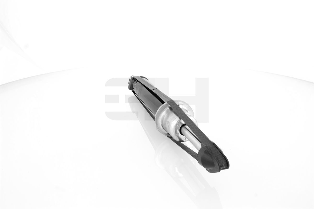 Amortizatorius GH GH-357501