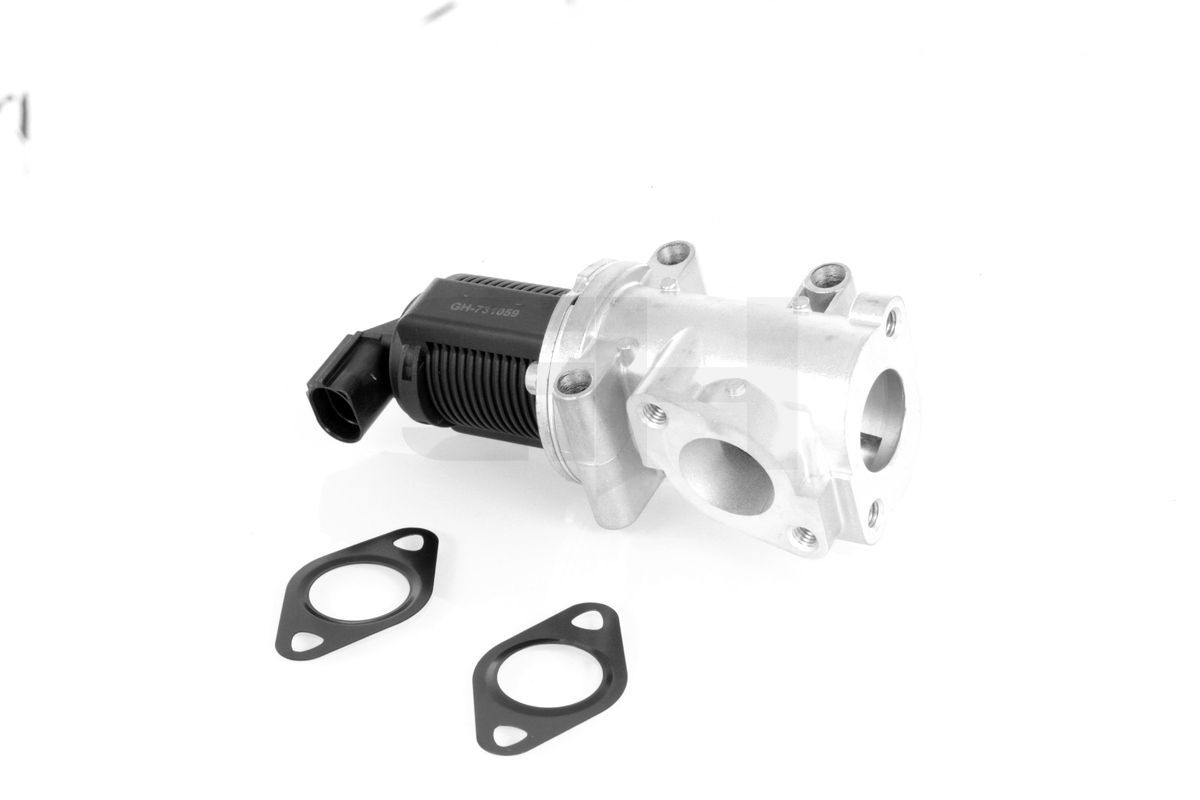 ERG vožtuvas GH GH-731059