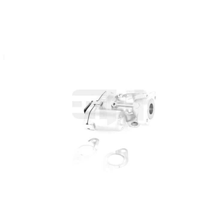 ERG vožtuvas GH GH-731960