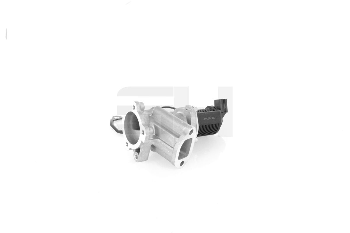 ERG vožtuvas GH GH-732344