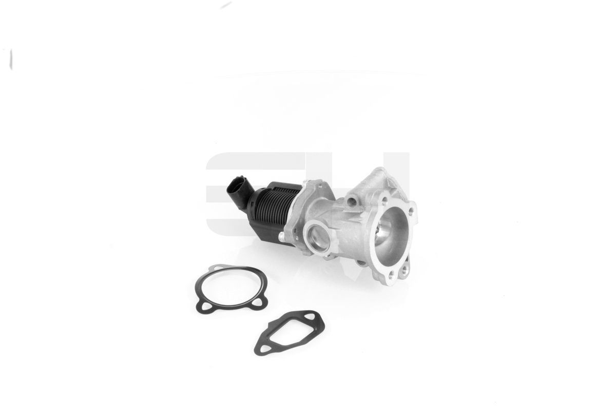 ERG vožtuvas GH GH-732344