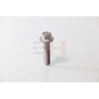 Varžtas, ašies kakliukas GH GH-392549