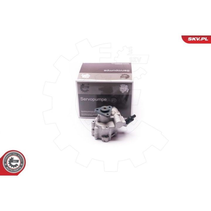 Hidraulinis siurblys, vairo sistema ESEN SKV 10SKV030