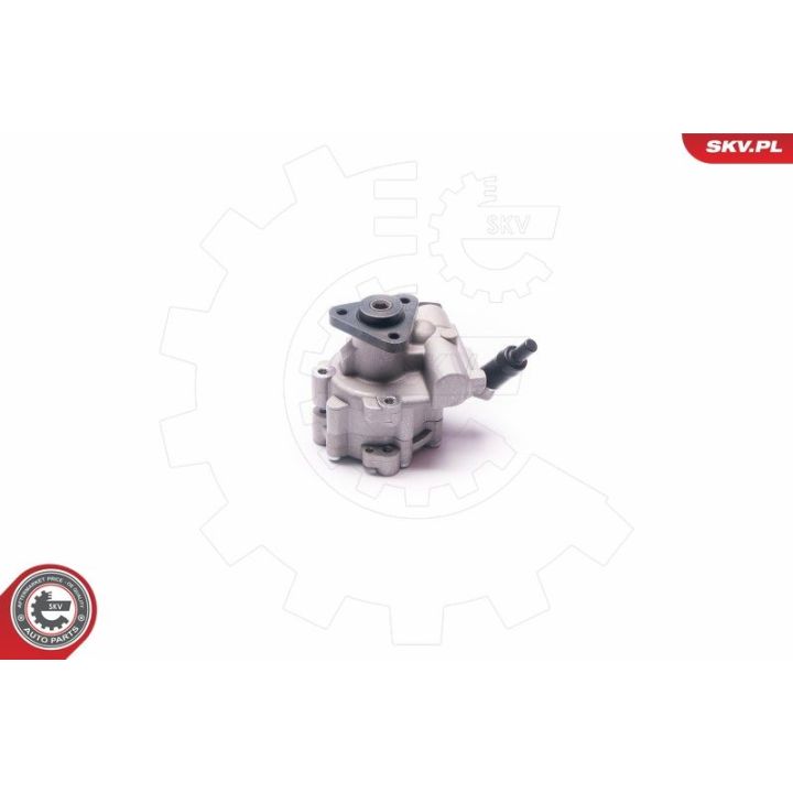 Hidraulinis siurblys, vairo sistema ESEN SKV 10SKV030