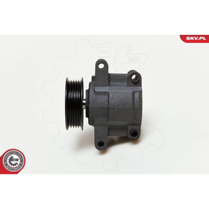 Hidraulinis siurblys, vairo sistema ESEN SKV 10SKV035