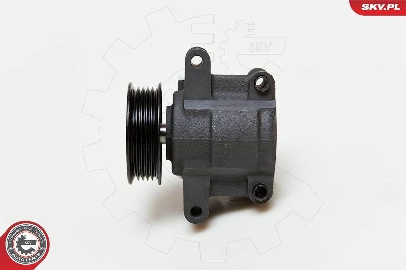 Hidraulinis siurblys, vairo sistema ESEN SKV 10SKV035