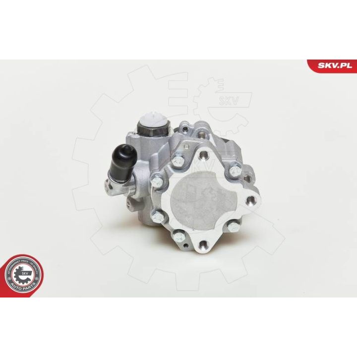 Hidraulinis siurblys, vairo sistema ESEN SKV 10SKV049