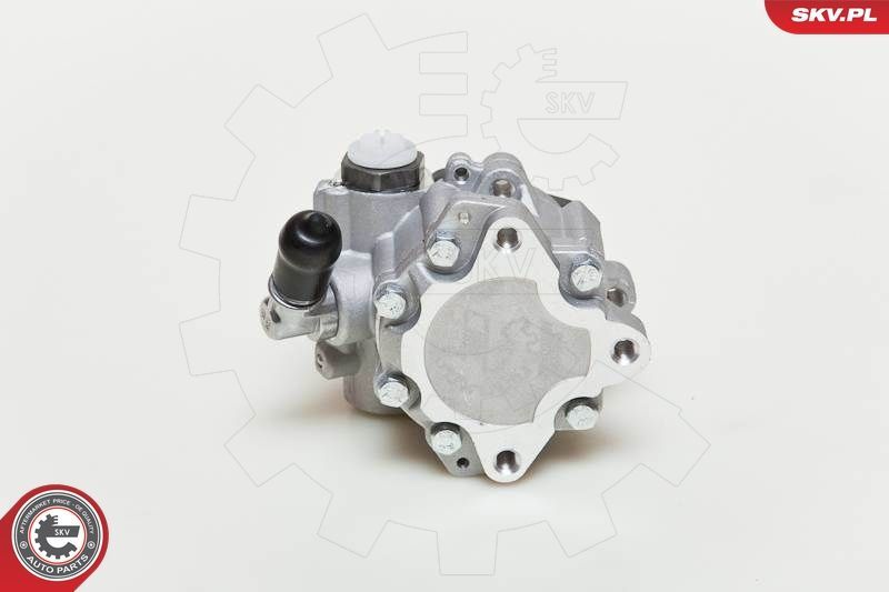 Hidraulinis siurblys, vairo sistema ESEN SKV 10SKV049