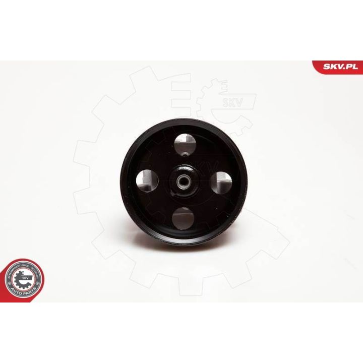 Hidraulinis siurblys, vairo sistema ESEN SKV 10SKV050